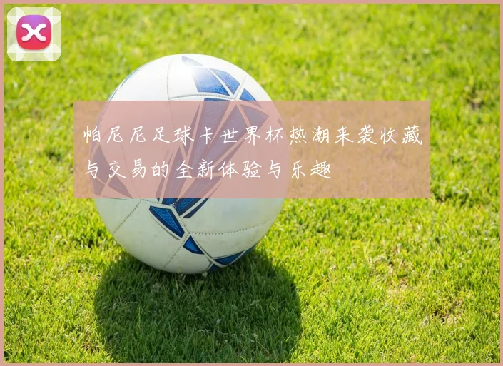 帕尼尼足球卡世界杯热潮来袭收藏与交易的全新体验与乐趣