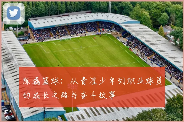 陈磊篮球：从青涩少年到职业球员的成长之路与奋斗故事